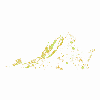 Export Image