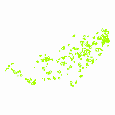 Export Image